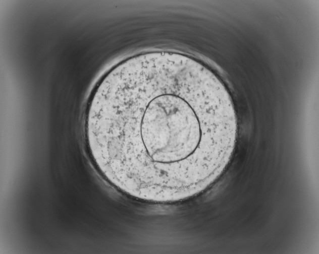 X0000086271514200704191914