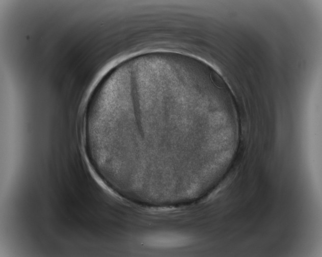 X0000086271515200704191914