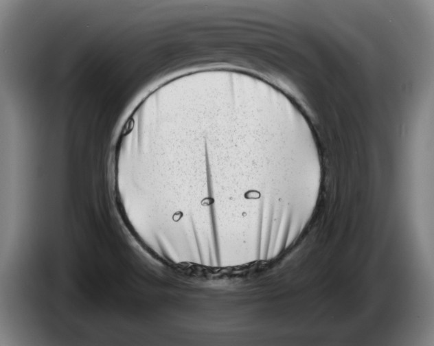 X0000086271516200704191914