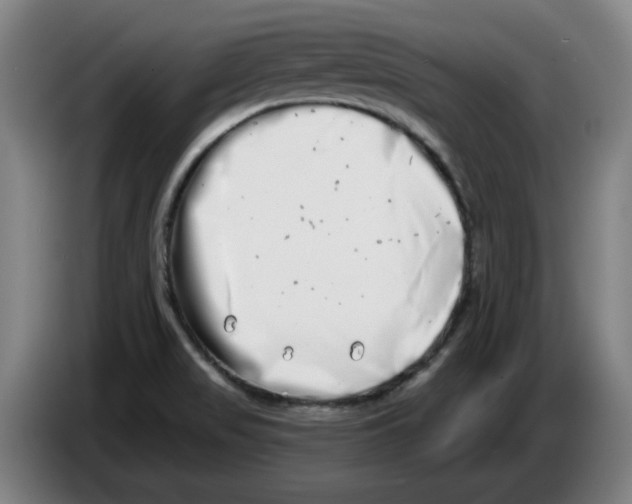 X0000086271517200704191914