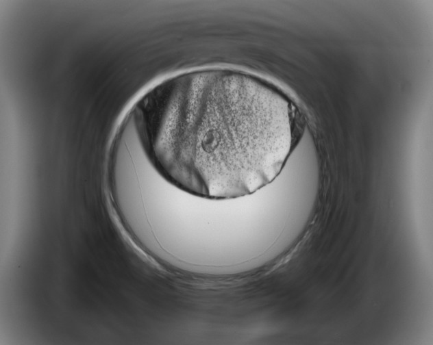 X0000086271518200704191914