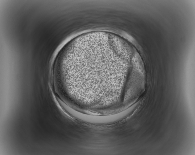 X0000086271520200704191914