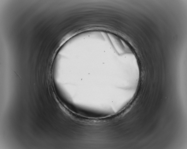 X0000086271521200704191914