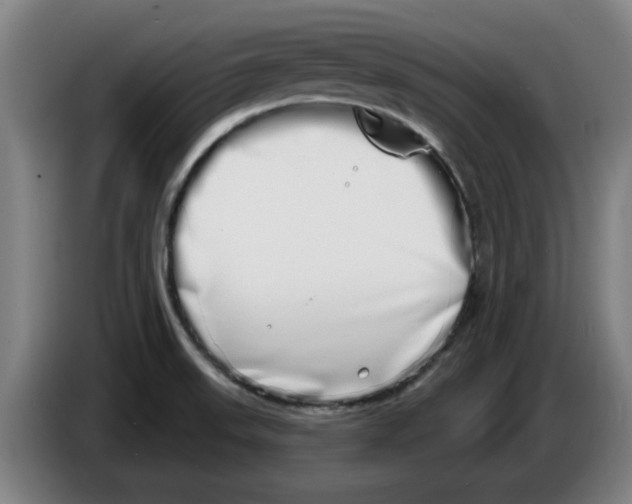 X0000086271523200704191914