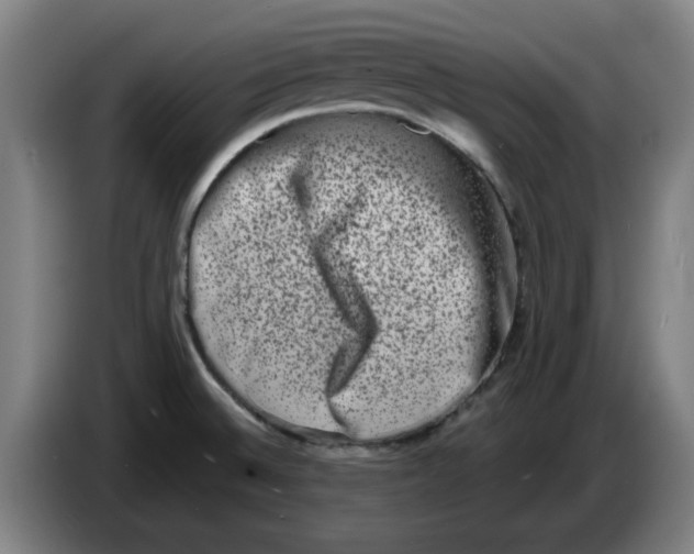 X0000086271524200704191914