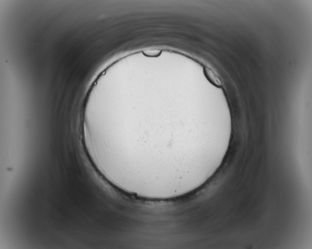 X0000086271526200704191914