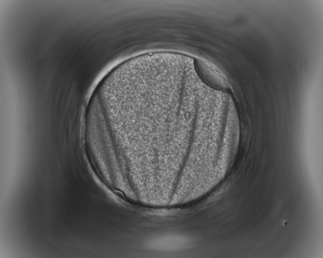 X0000086271527200704191914