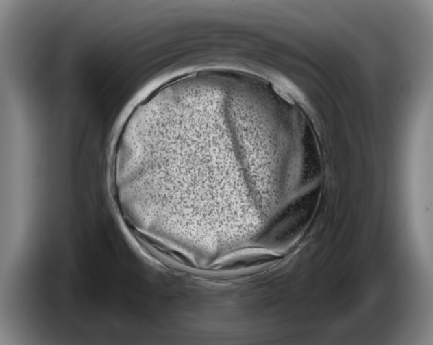 X0000086271528200704191914