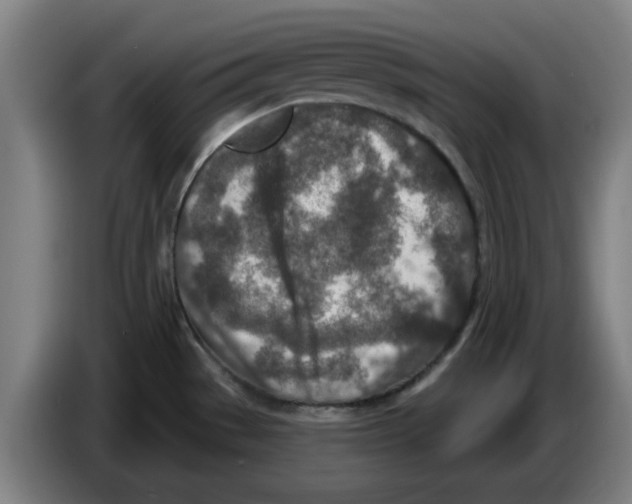 X0000086271529200704191914