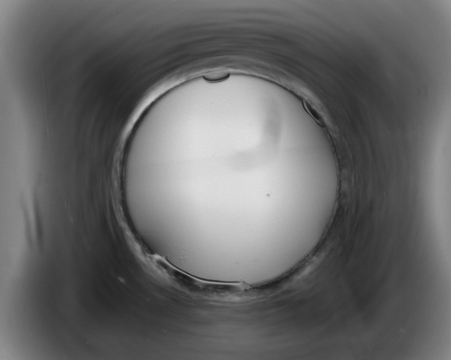 X0000086271530200704191914