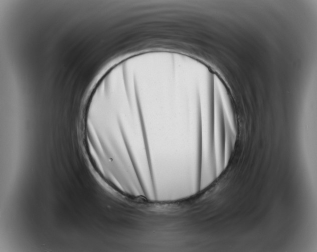 X0000086271531200704191914