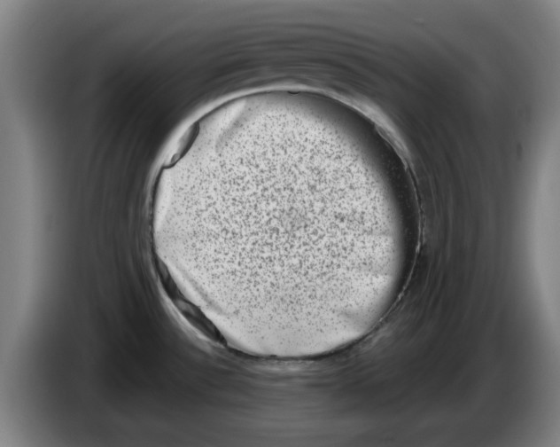 X0000086271532200704191914