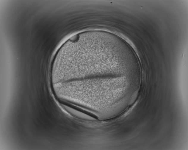 X0000086271533200704191914