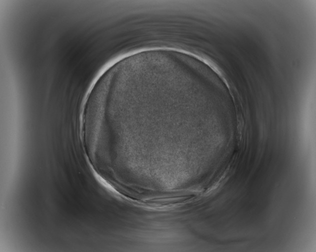 X0000086271535200704191914