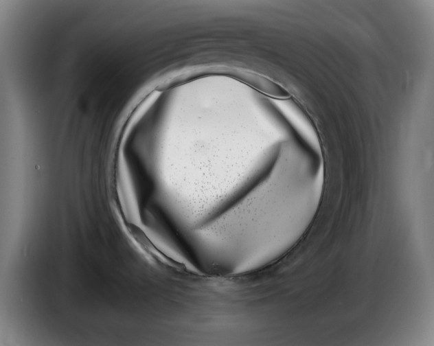 X0000086271536200704191914