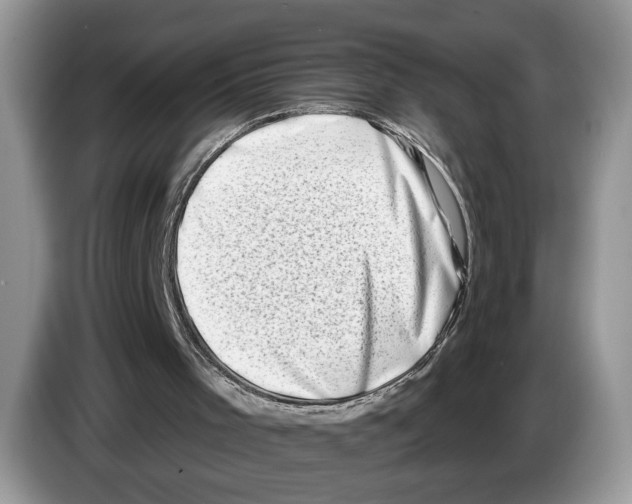 X0000086270001200704262025