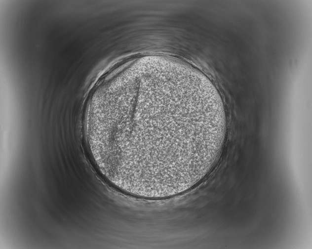 X0000086270002200704262025