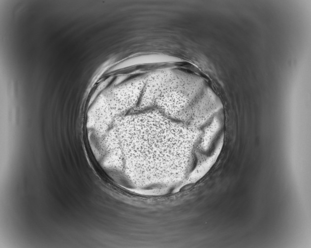 X0000086270003200704262025