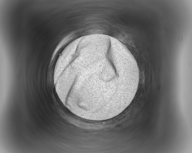 X0000086270004200704262025