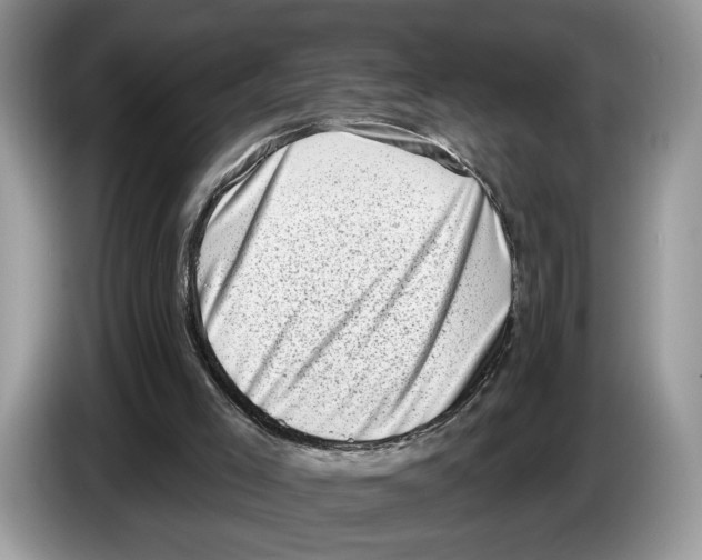 X0000086270005200704262025