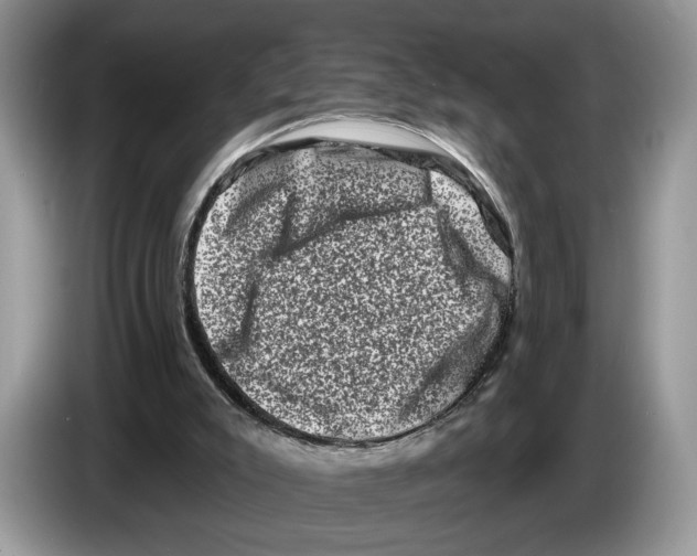 X0000086270007200704262025