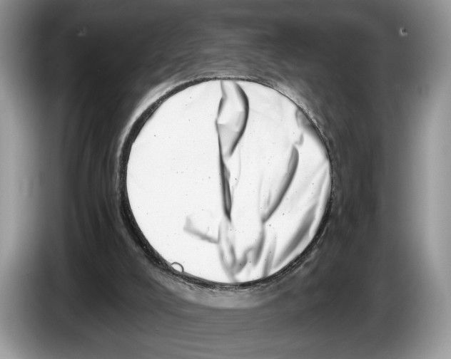 X0000086270008200704262025