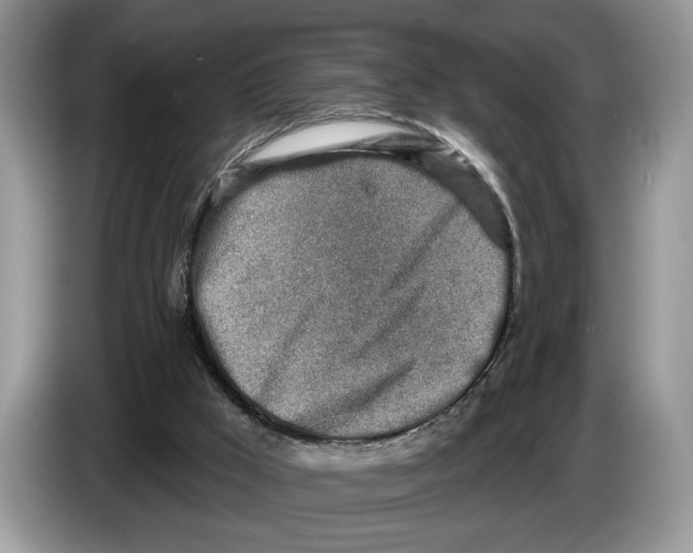 X0000086270009200704262025