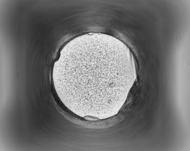 X0000086270011200704262025