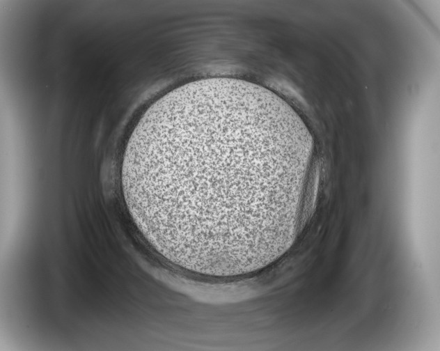 X0000086270012200704262025