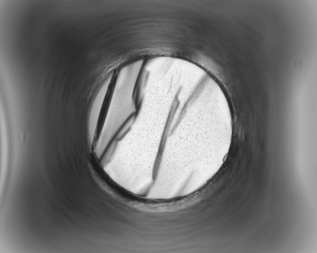 X0000086270013200704262025