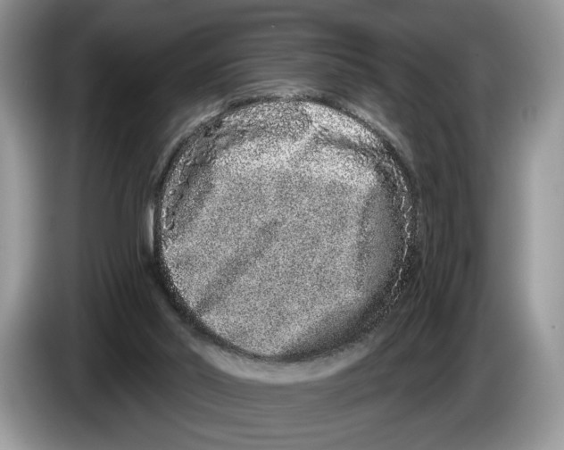 X0000086270014200704262025