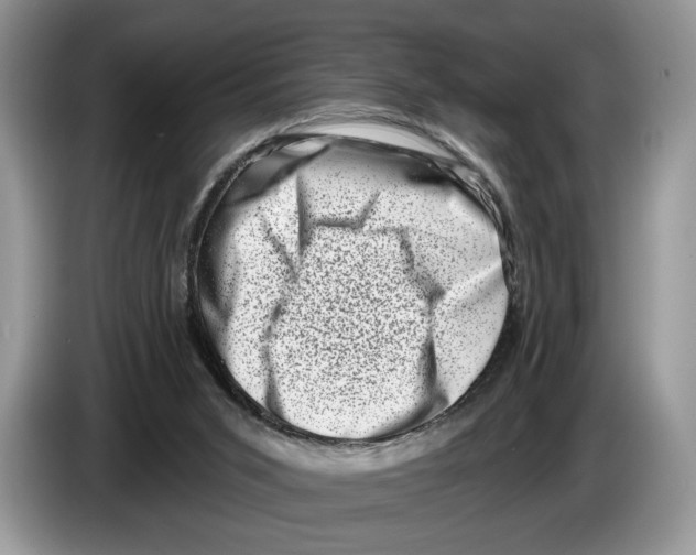 X0000086270015200704262025