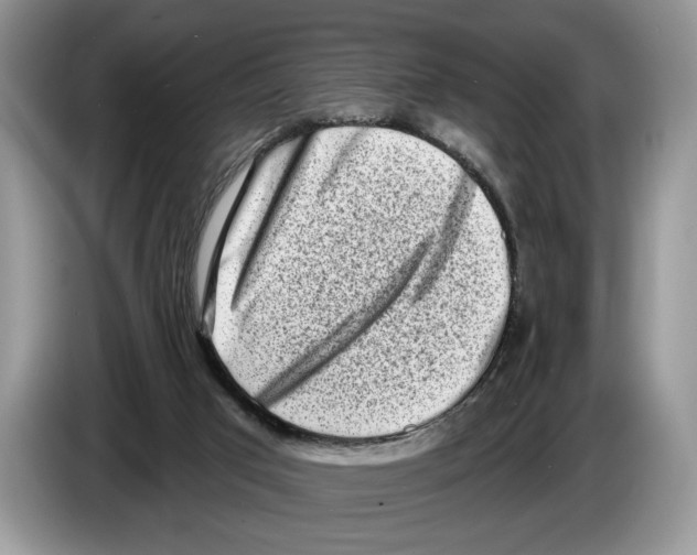 X0000086270017200704262025
