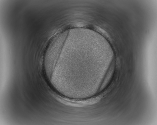 X0000086270018200704262025