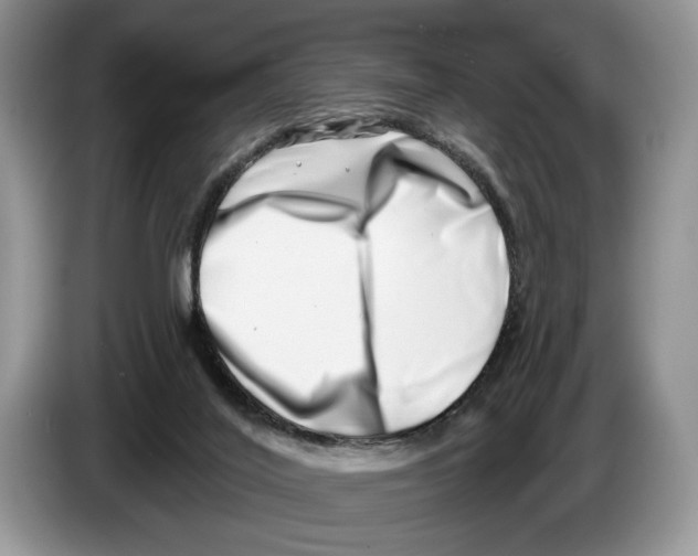 X0000086270020200704262025