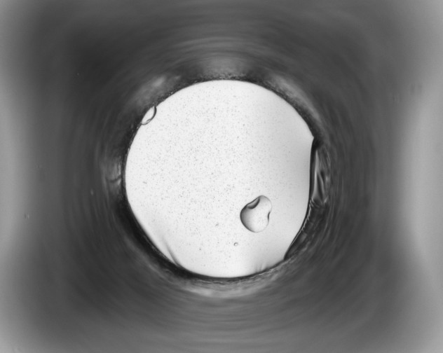 X0000086270021200704262025