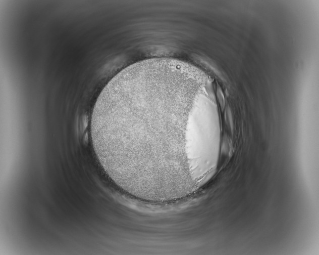 X0000086270022200704262025