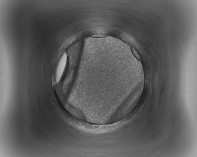 X0000086270023200704262025