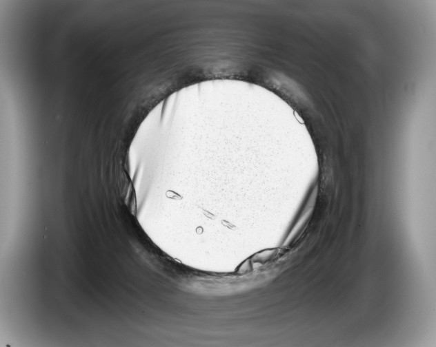 X0000086270025200704262025