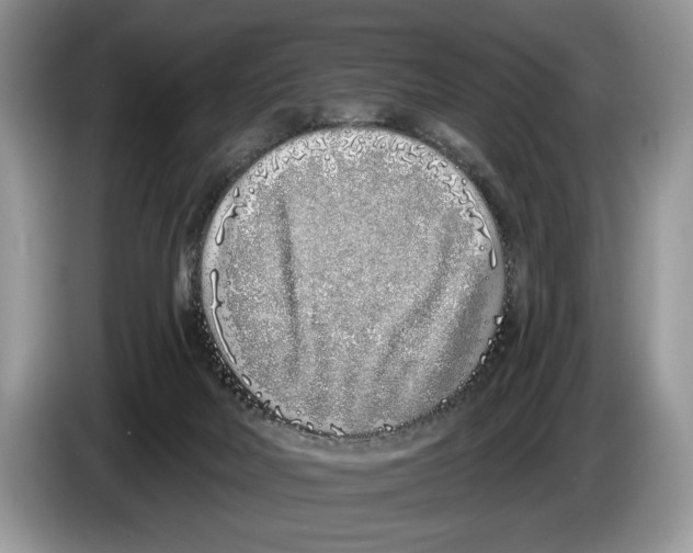 X0000086270026200704262025