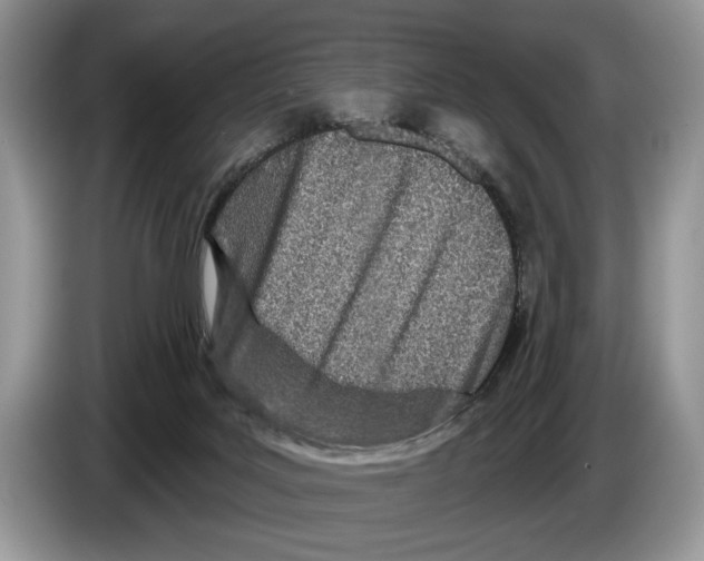 X0000086270027200704262025