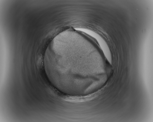 X0000086270029200704262025