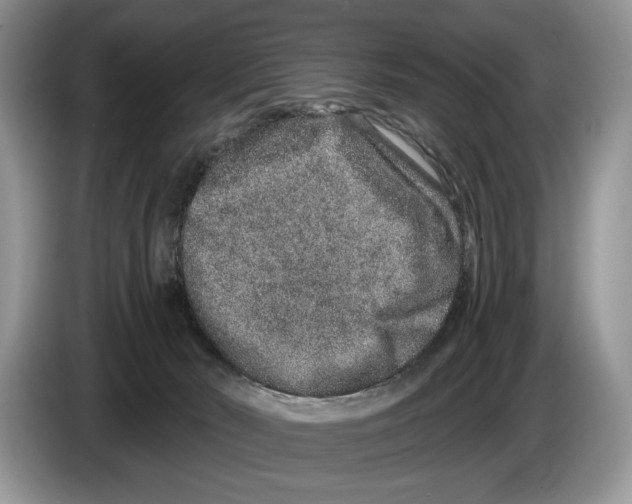 X0000086270030200704262025