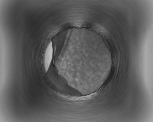 X0000086270031200704262025