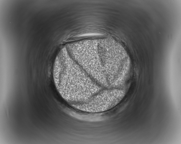 X0000086270032200704262025