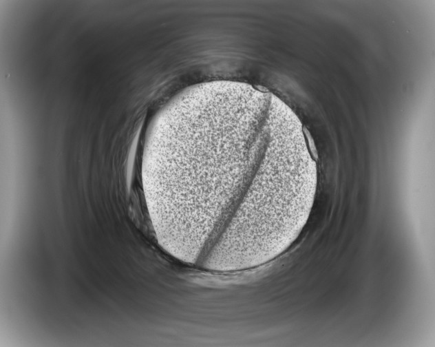 X0000086270033200704262025