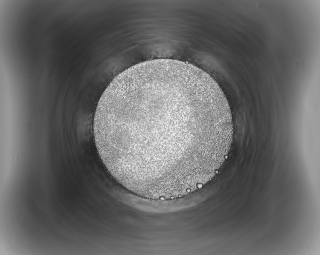 X0000086270034200704262025