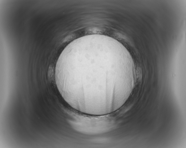 X0000086270036200704262025