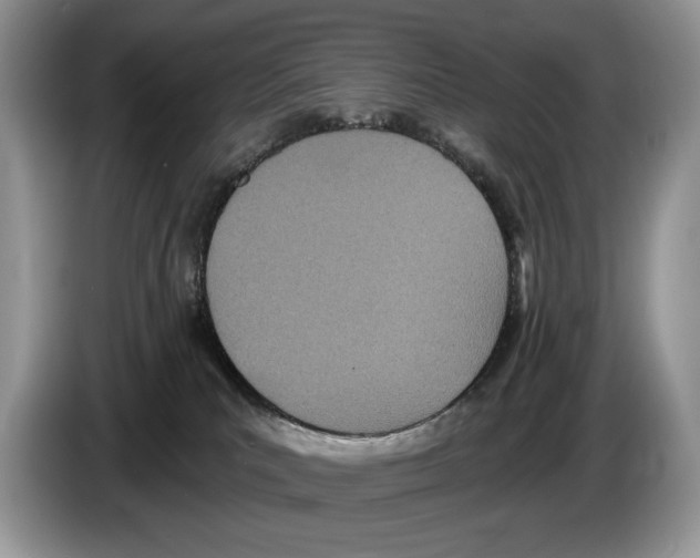 X0000086270039200704262025