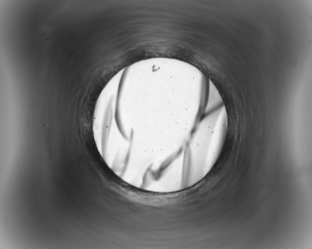 X0000086270040200704262025
